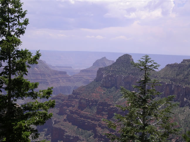 images/Hiking North Rim- Widforss Trail (40).jpg